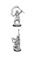 D&D Nolzur's Marvelous Miniatures: Firbolg Druid Female (Wave 13)